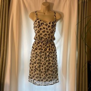 Leopard Cocktail / Mini Dress from Francesca’s Collection, Size Medium